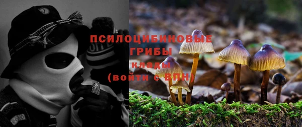 спиды Алзамай