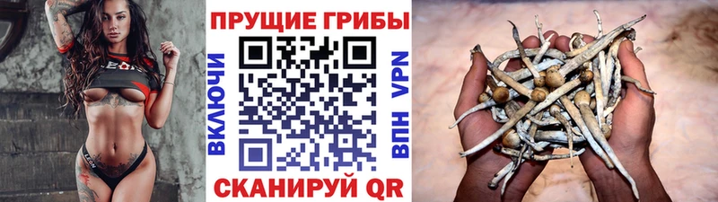 блэк спрут маркетплейс  купить закладку  Артёмовск  Галлюциногенные грибы прущие грибы 